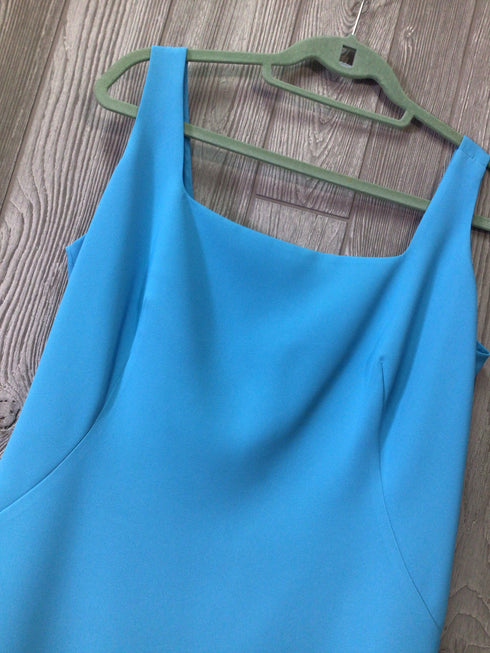 Ann Taylor Dress Size 14